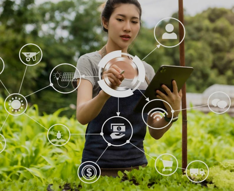 Best Agriculture Courses Certificates 2025 Coursera Learn Online Best Agriculture Courses Certificates 2025 Coursera Learn Online